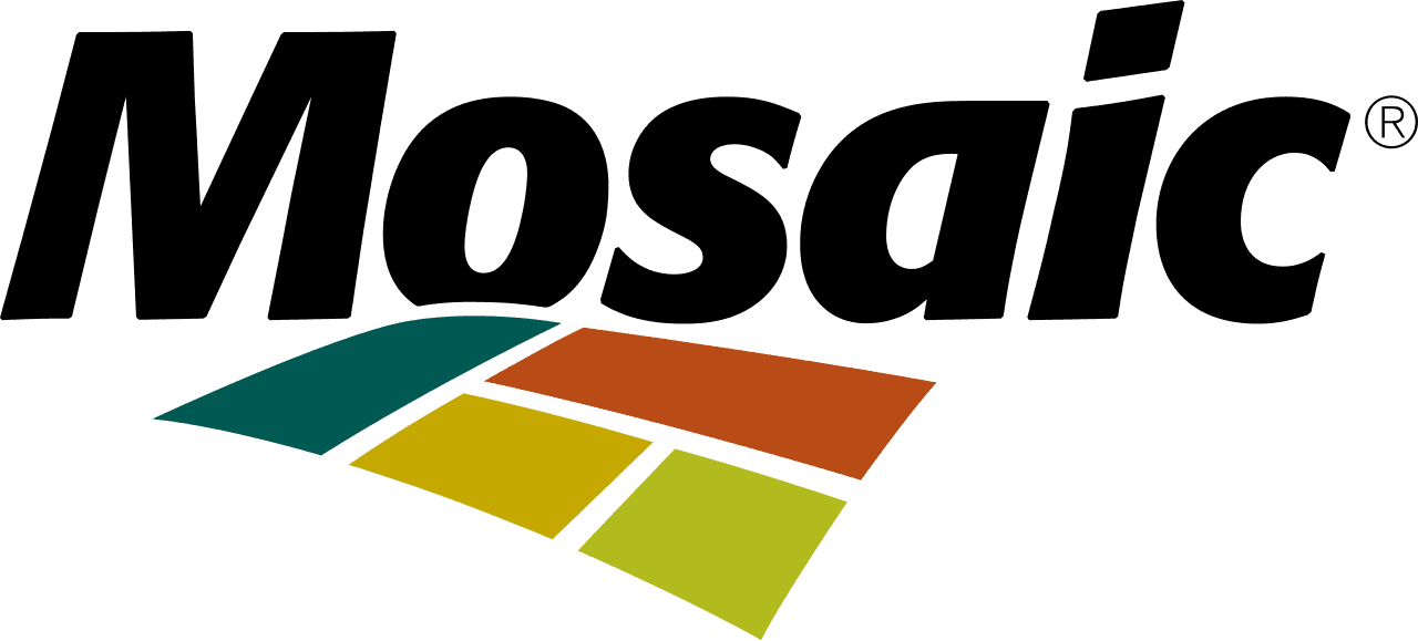 Mosaic India