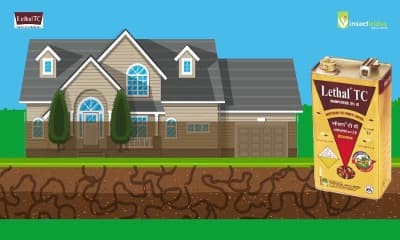 Illustration & Brand Storytelling 10