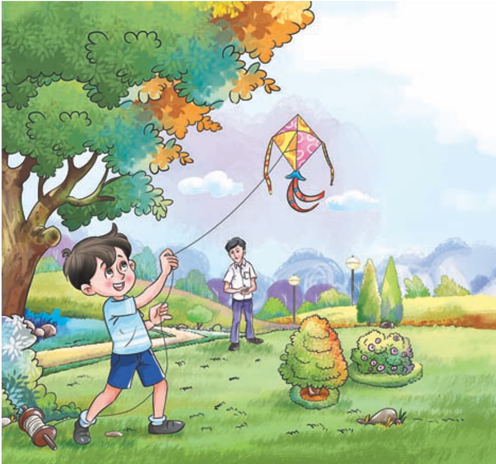 Illustration & Brand Storytelling 3