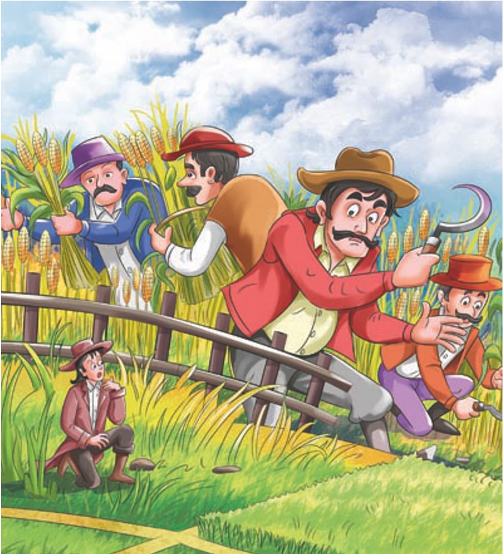 Illustration & Brand Storytelling 4